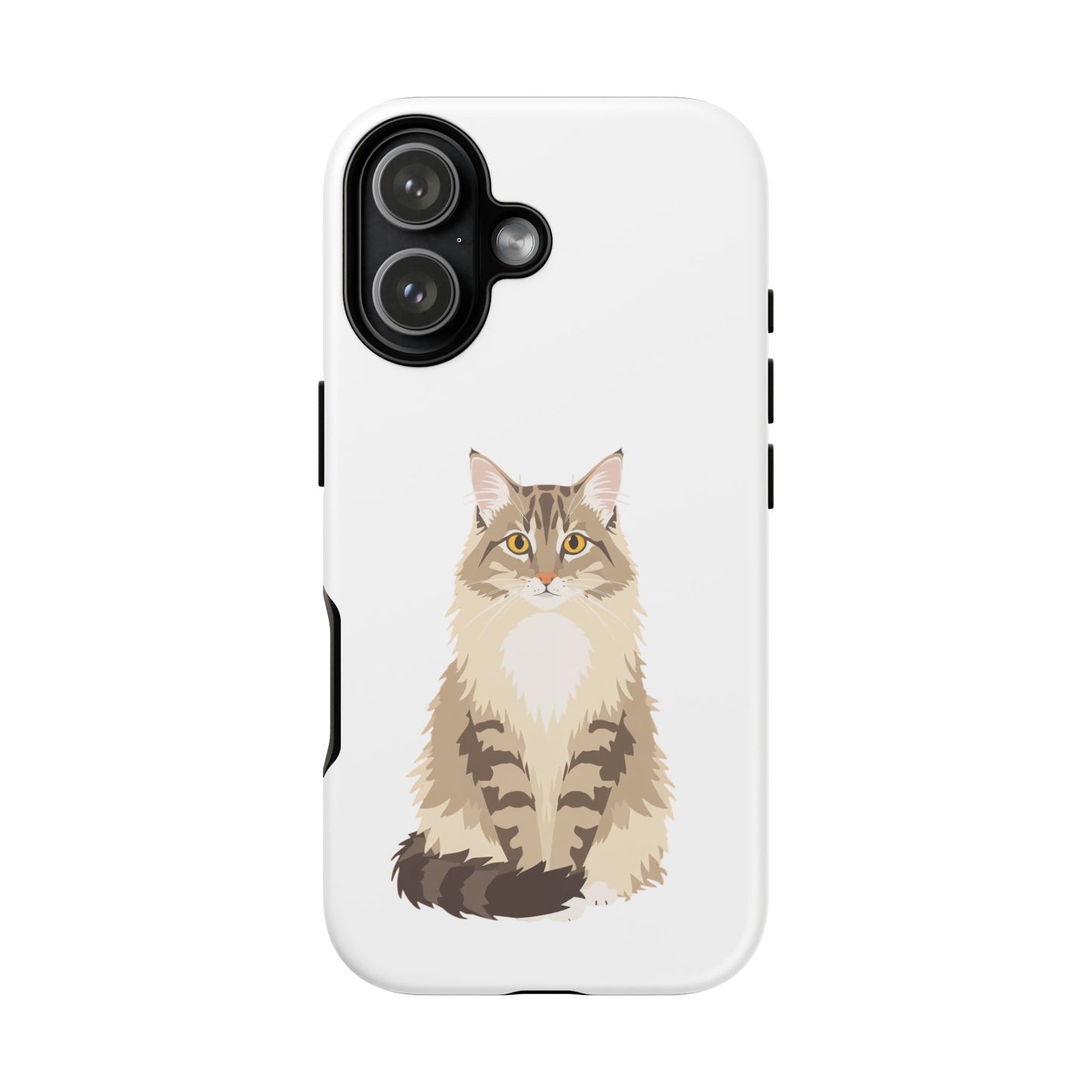 Domestic Longhair Cat - Cat Lovers