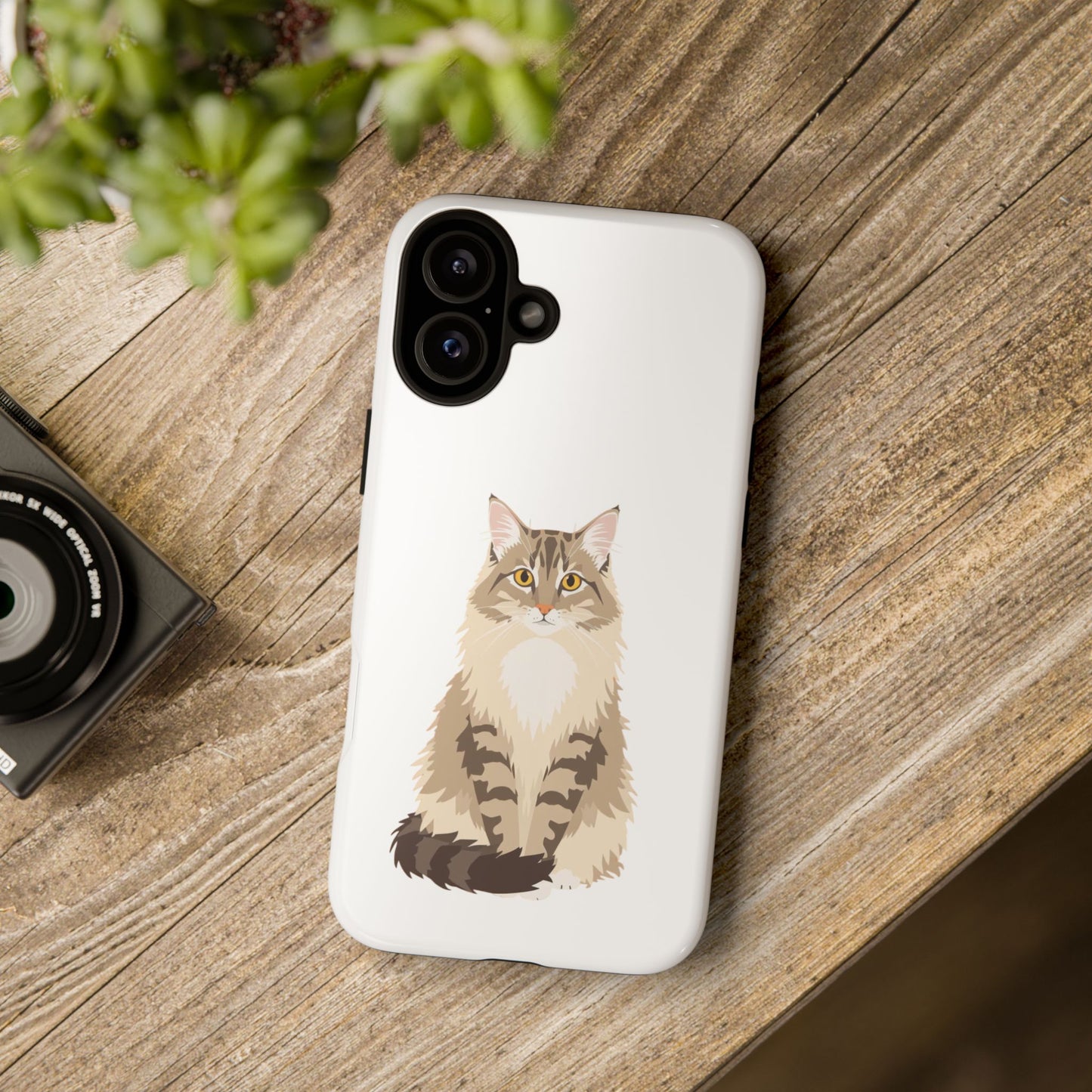 Domestic Longhair Cat - Cat Lovers