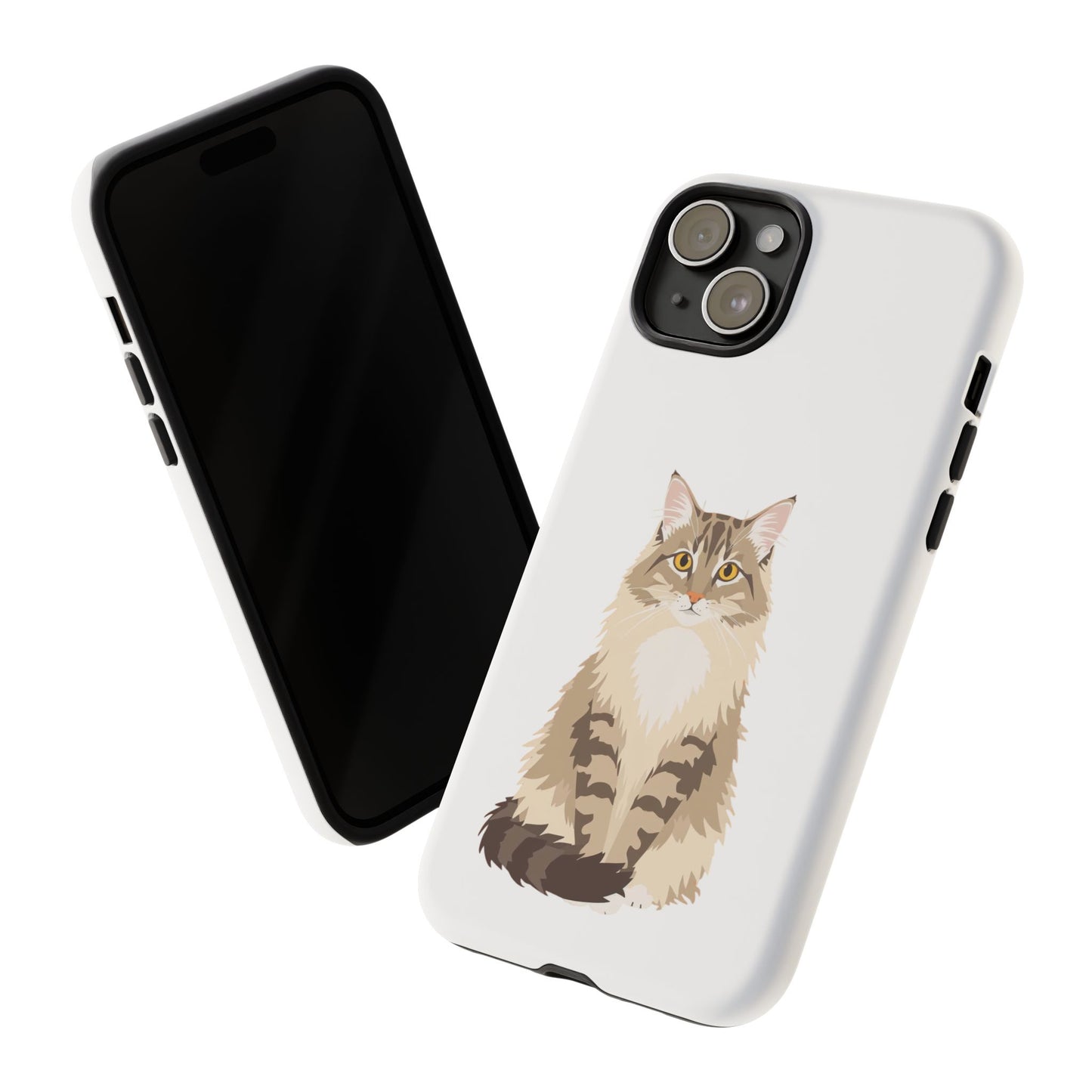 Domestic Longhair Cat - Cat Lovers