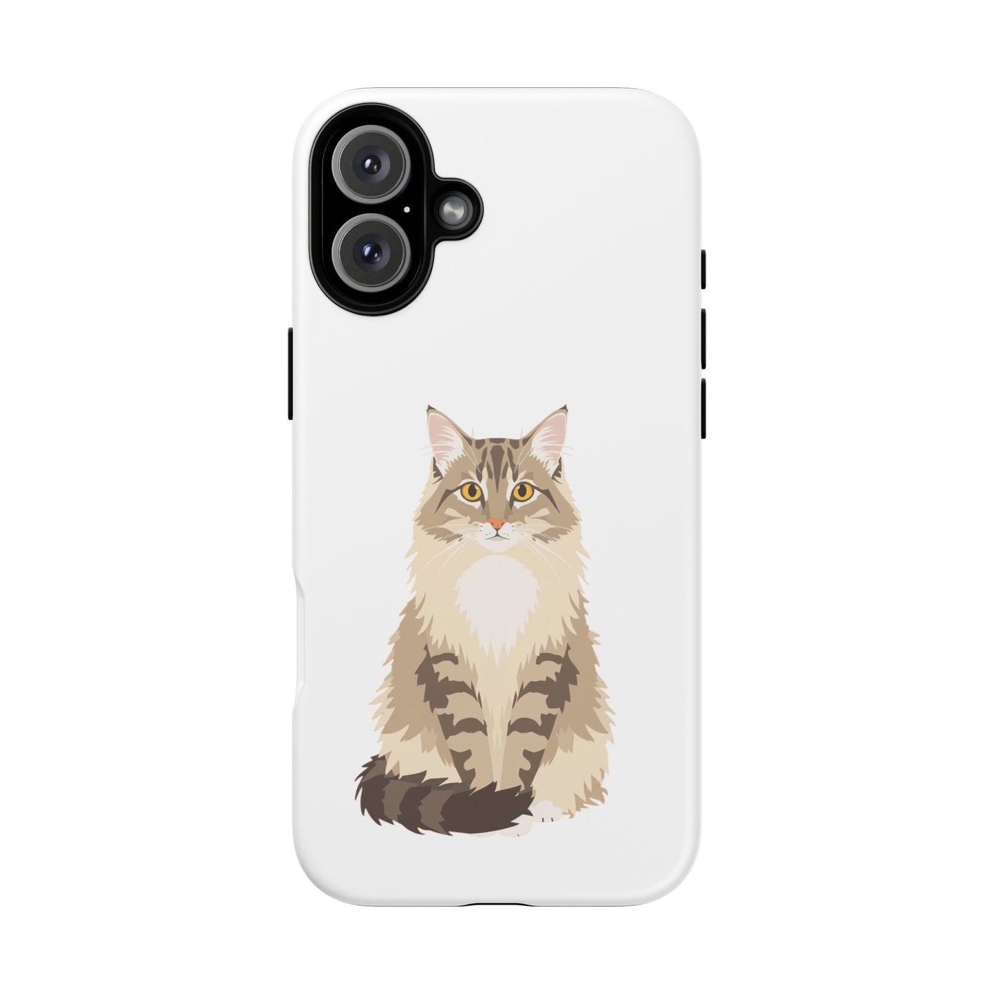 Domestic Longhair Cat - Cat Lovers