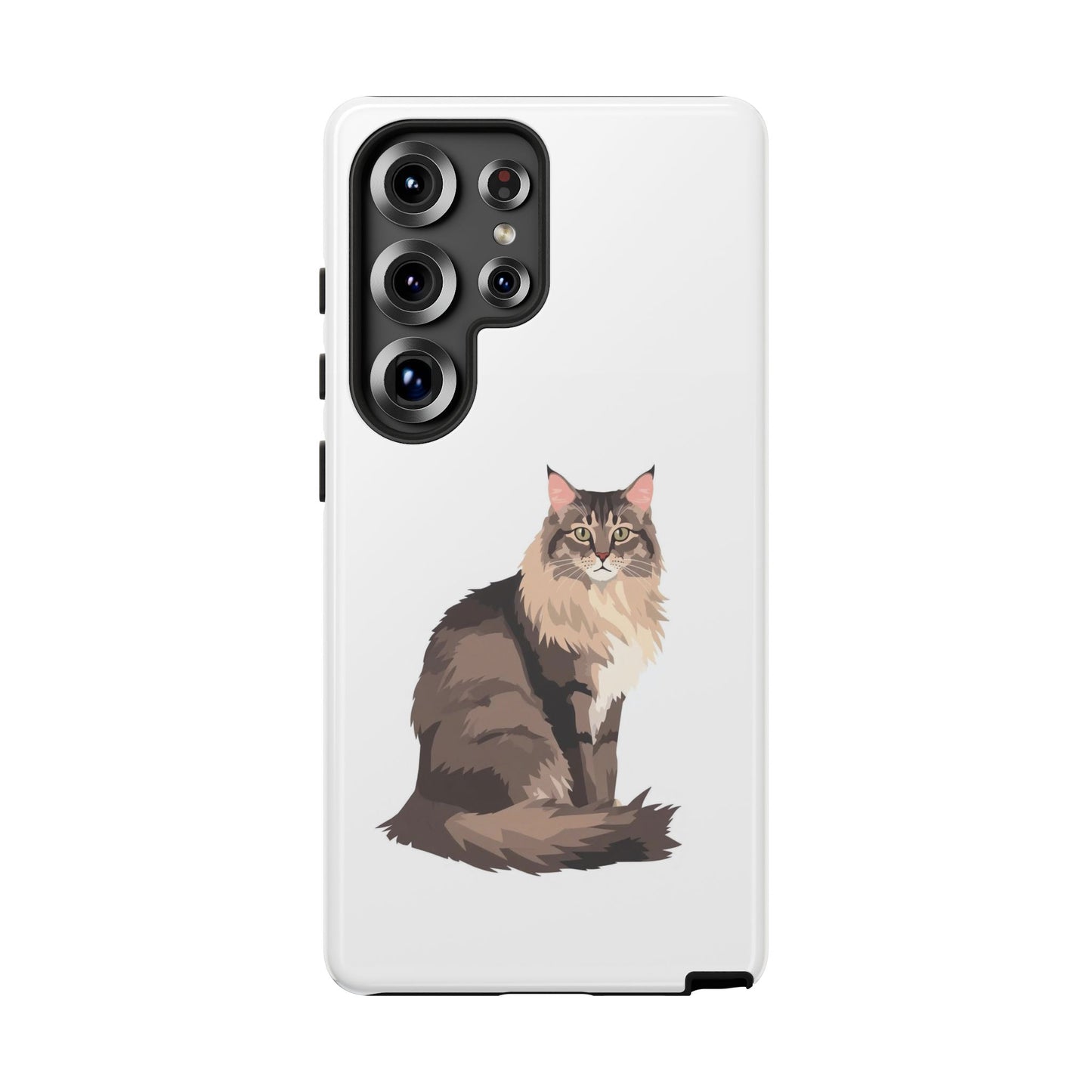 Maine Coon Cat - Cat Lovers