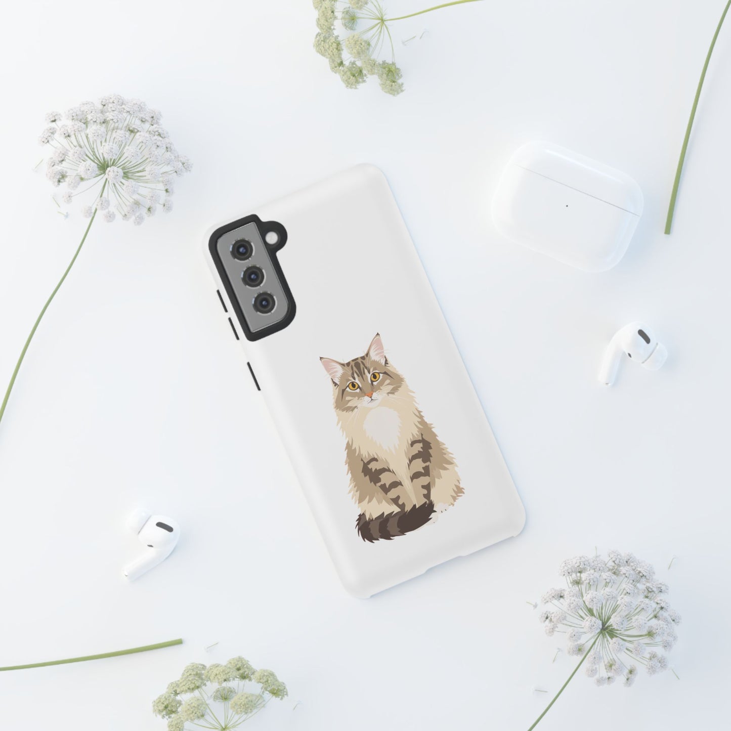 Domestic Longhair Cat - Cat Lovers