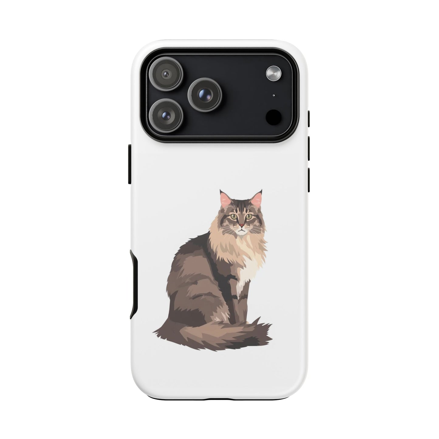 Maine Coon Cat - Cat Lovers