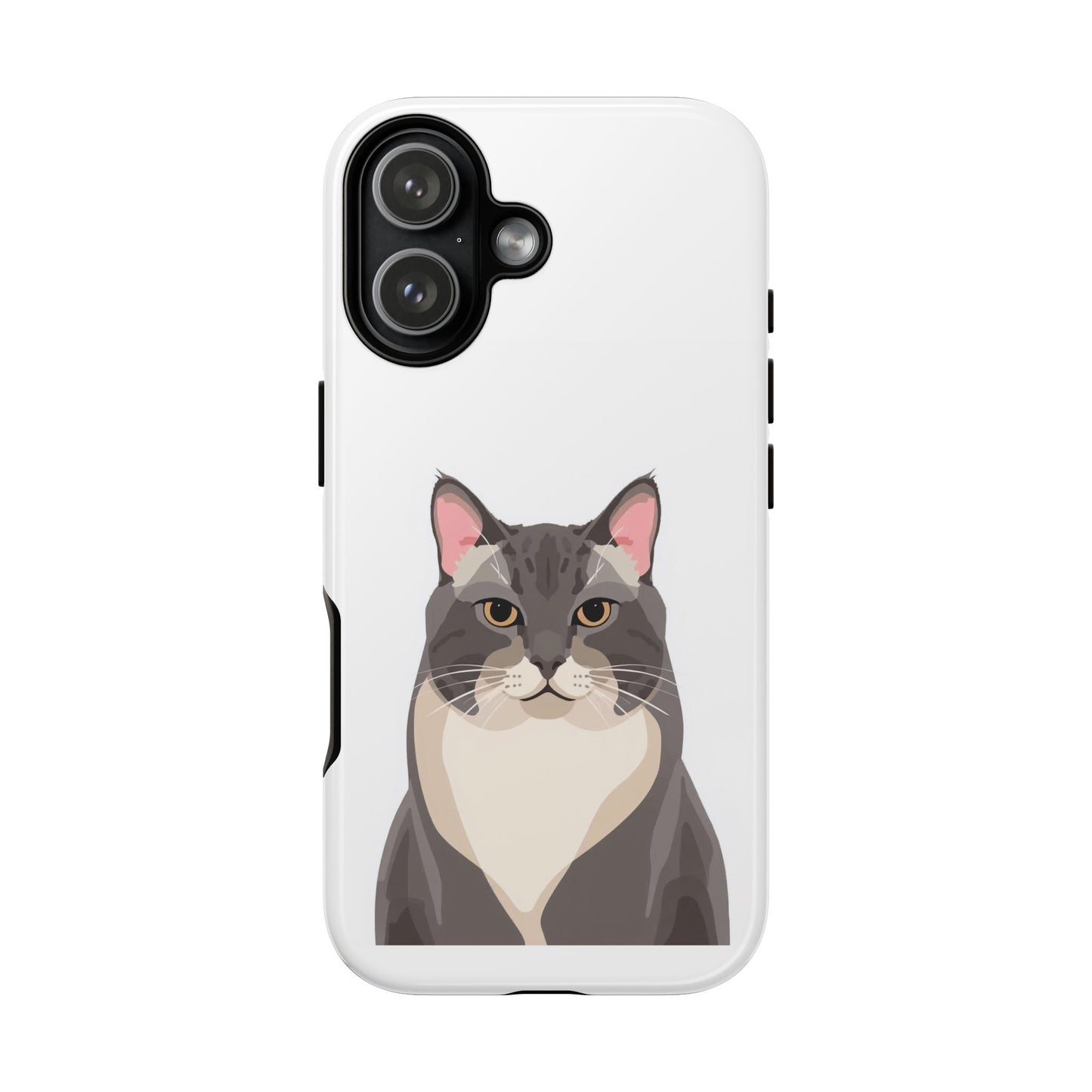 All American Shorthair - Cat Lovers