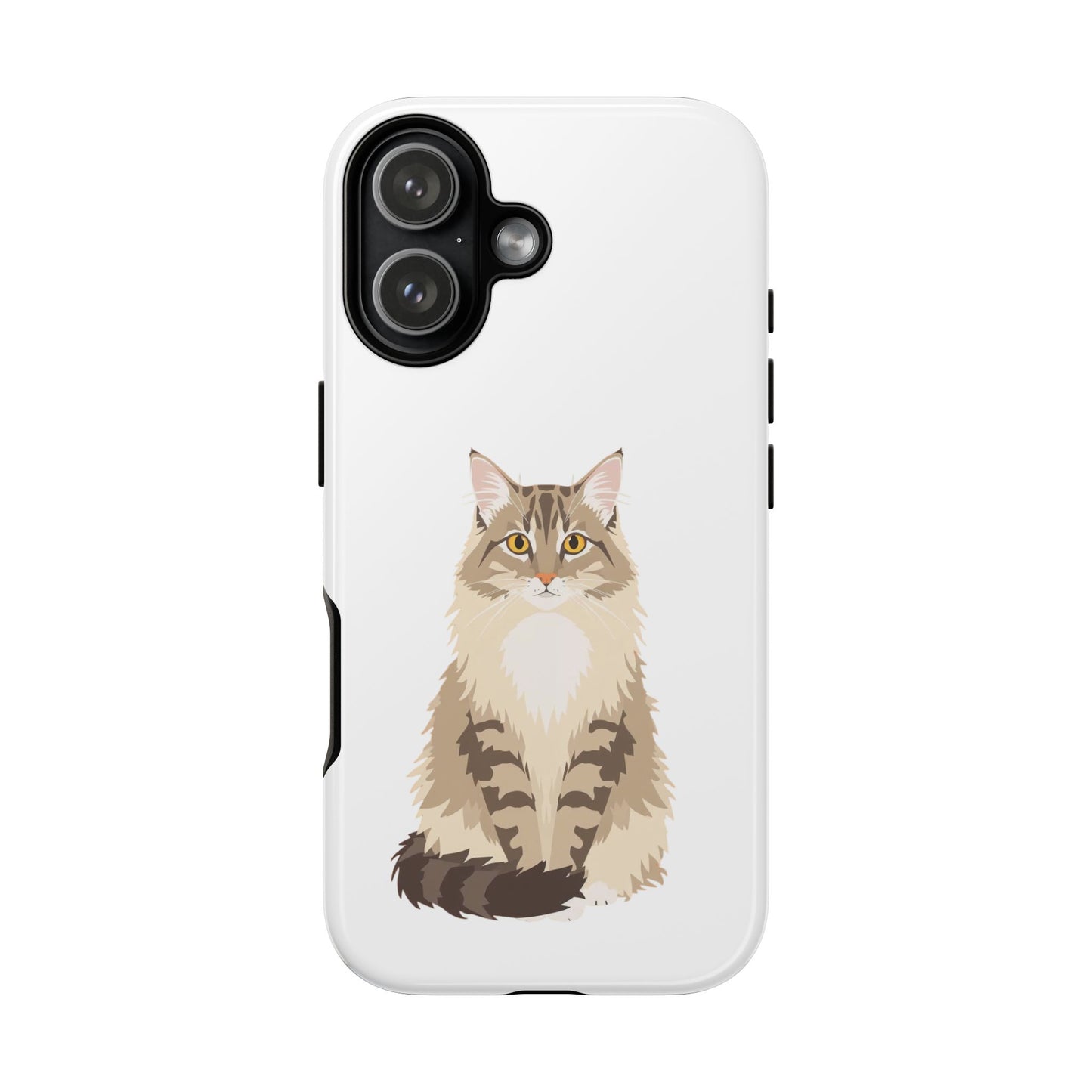 Domestic Longhair Cat - Cat Lovers