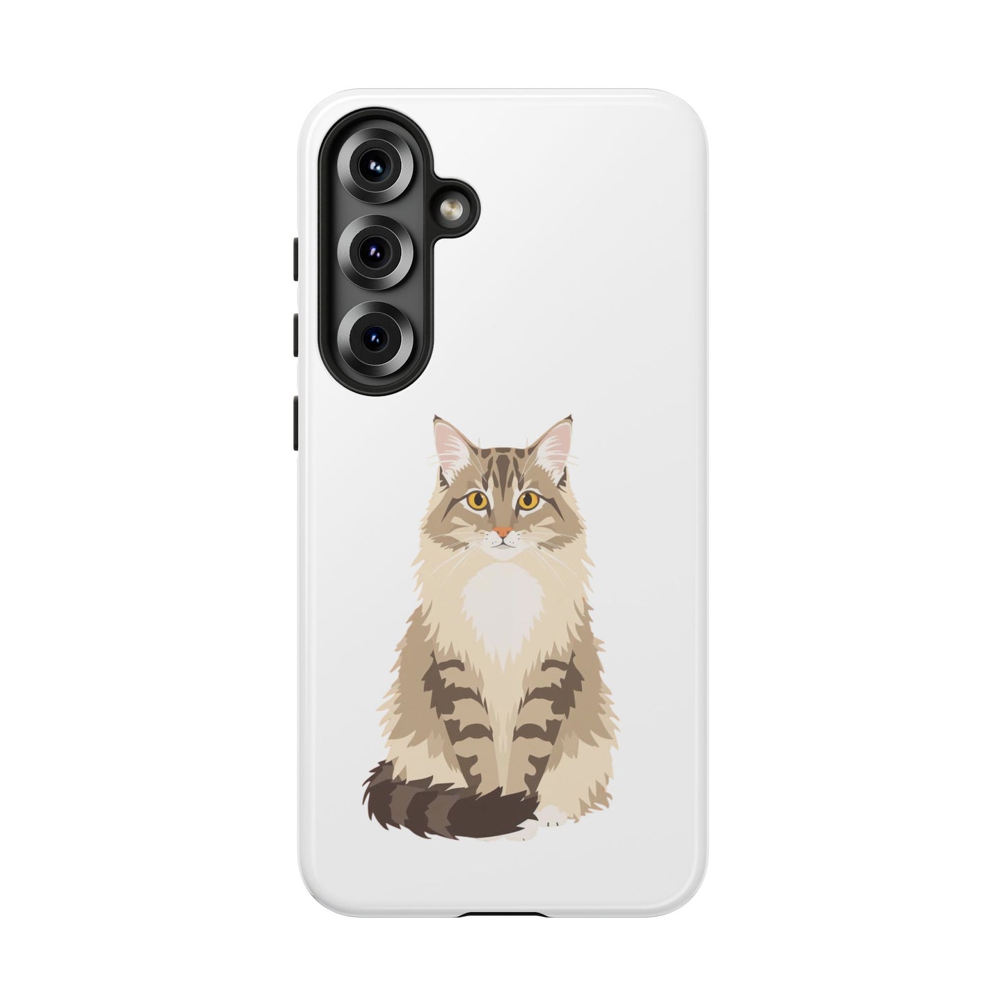 Domestic Longhair Cat - Cat Lovers