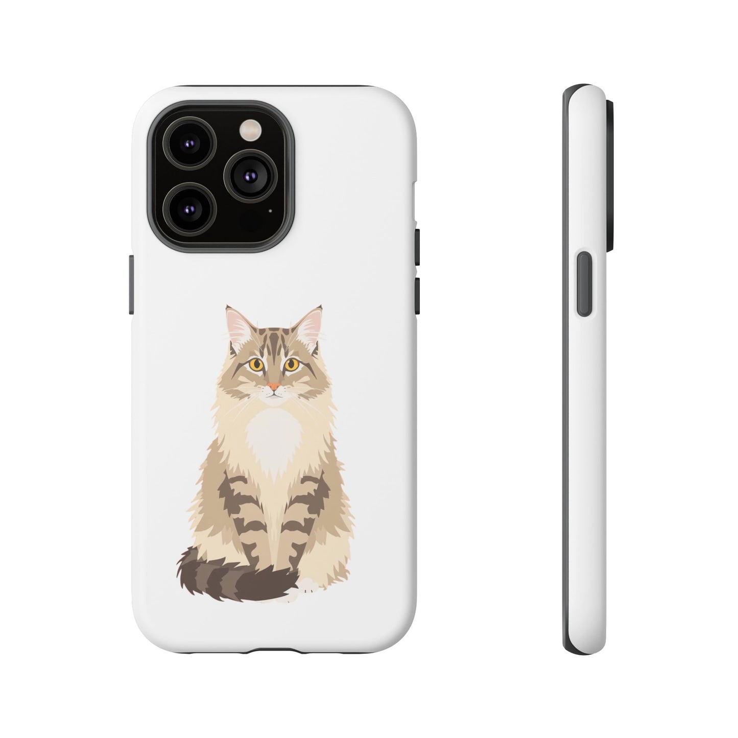 Domestic Longhair Cat - Cat Lovers