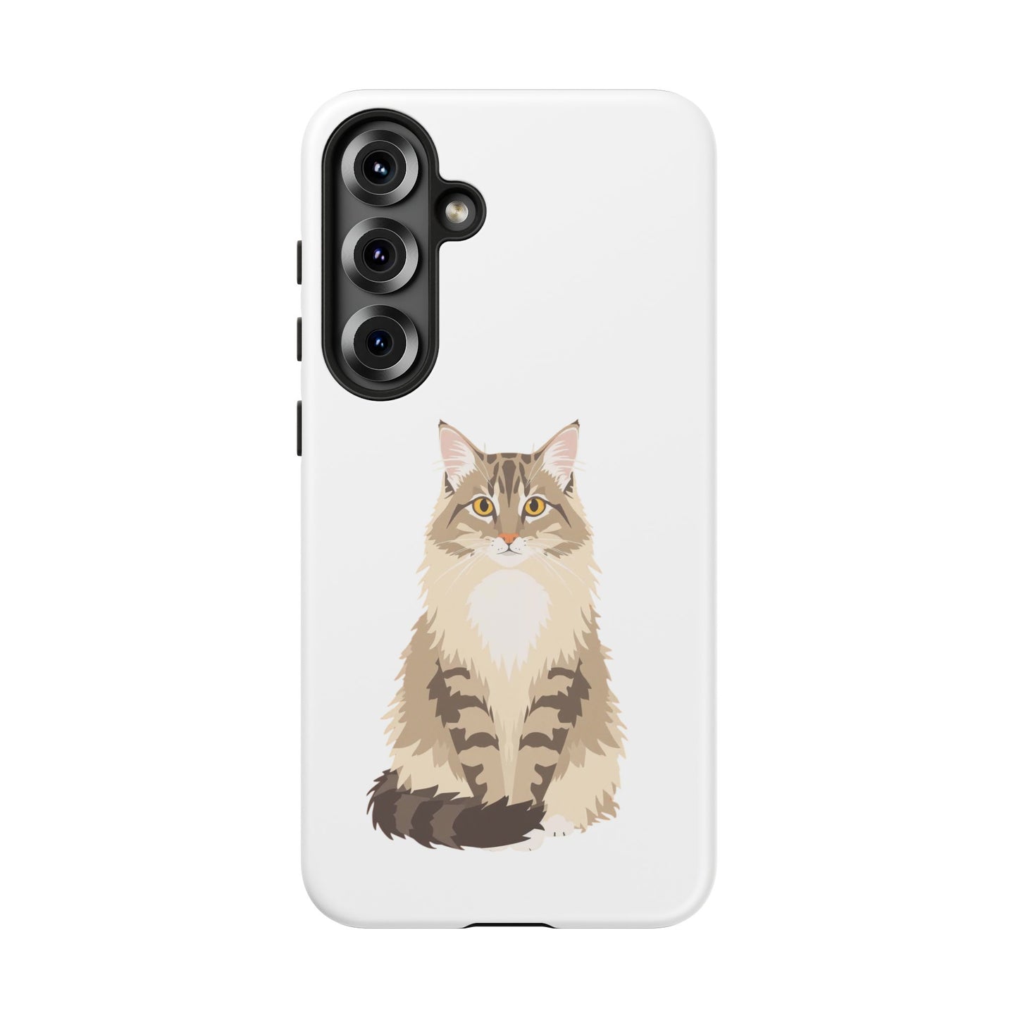 Domestic Longhair Cat - Cat Lovers
