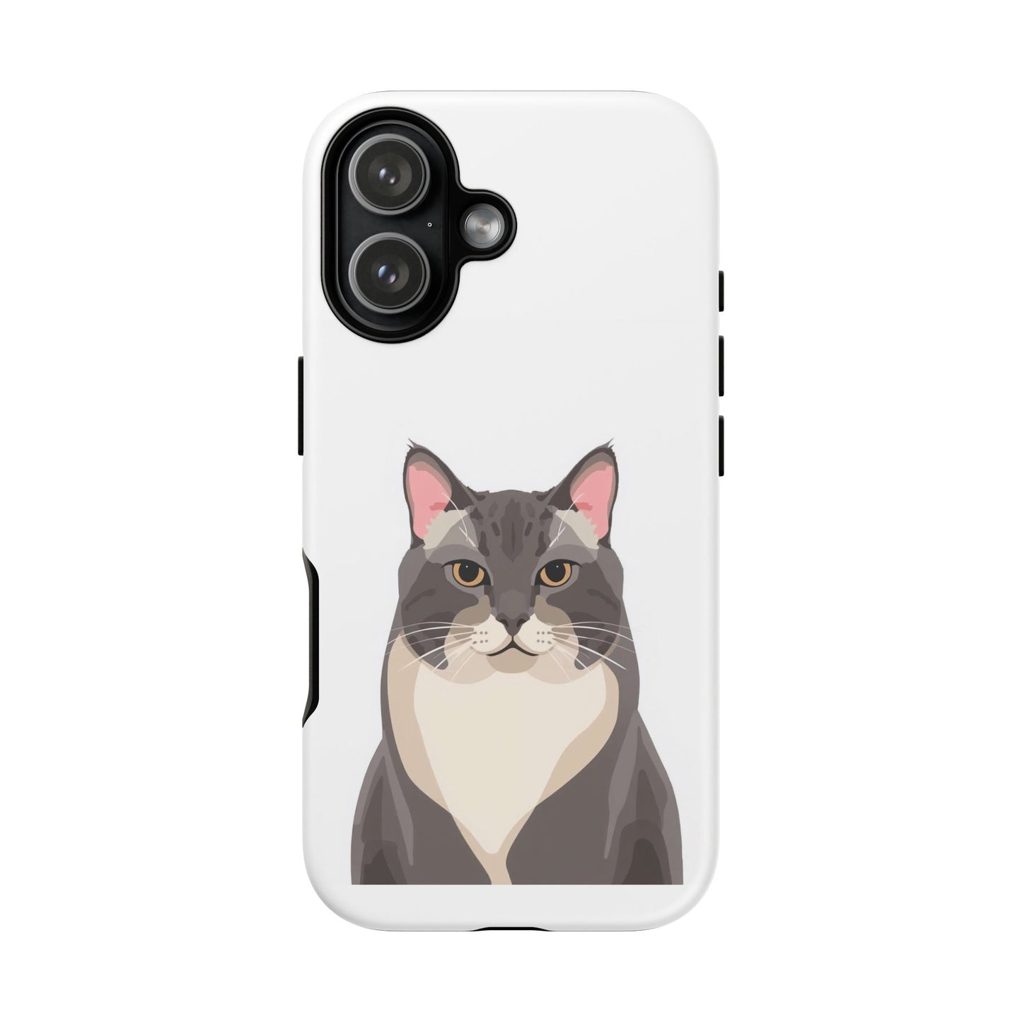 All American Shorthair - Cat Lovers