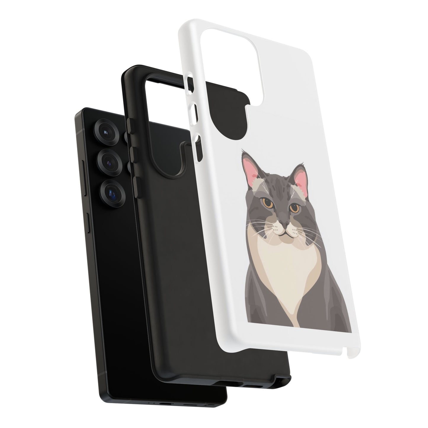 All American Shorthair - Cat Lovers
