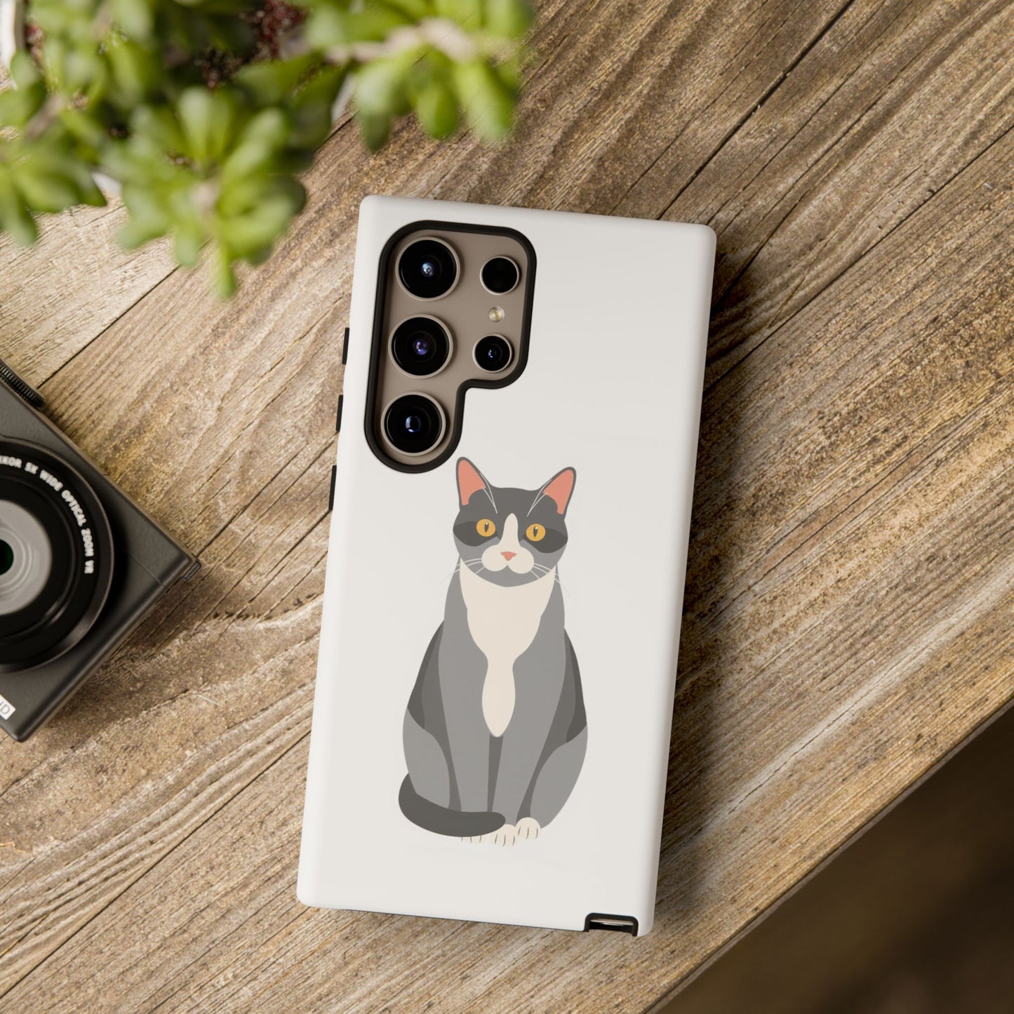 American Shorthair - Cat Lovers