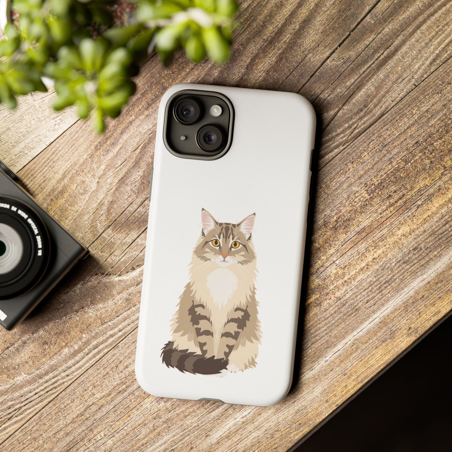 Domestic Longhair Cat - Cat Lovers