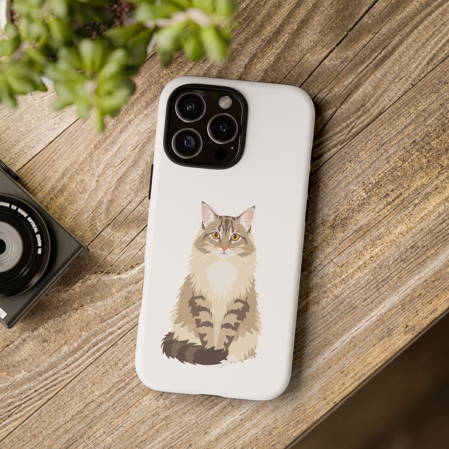 Domestic Longhair Cat - Cat Lovers