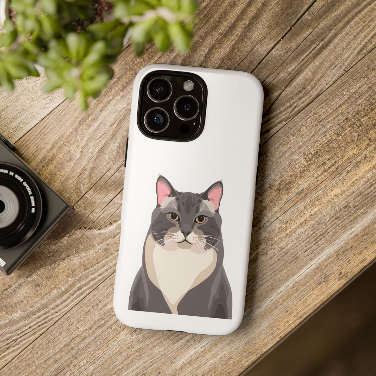 All American Shorthair - Cat Lovers