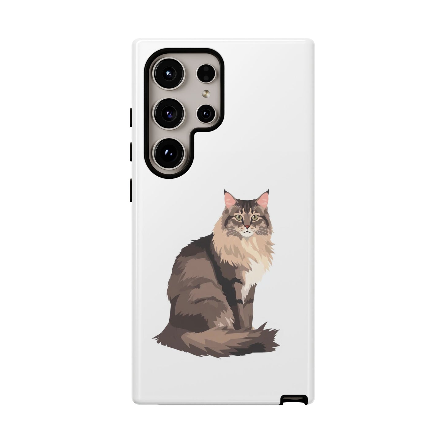 Maine Coon Cat - Cat Lovers