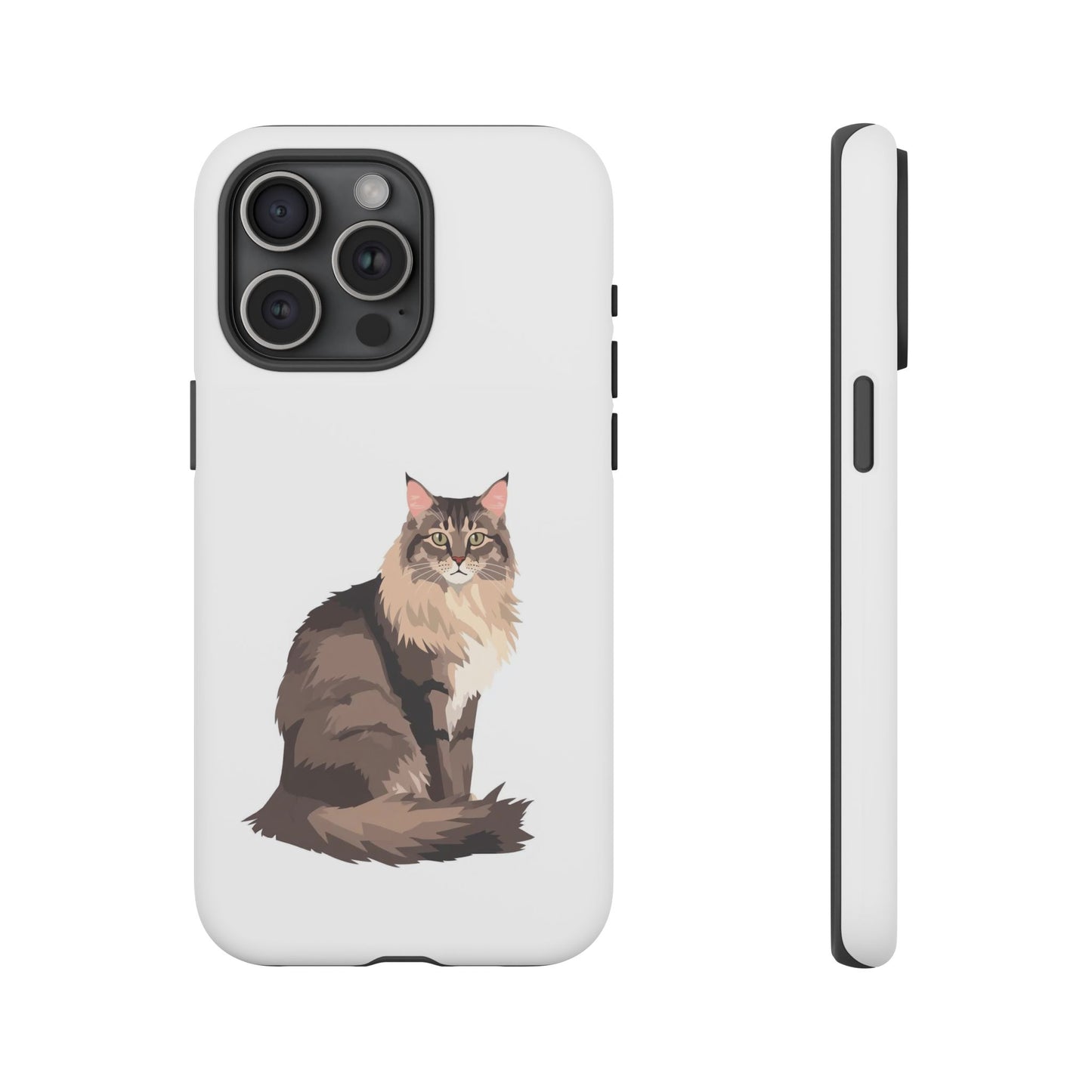 Maine Coon Cat - Cat Lovers