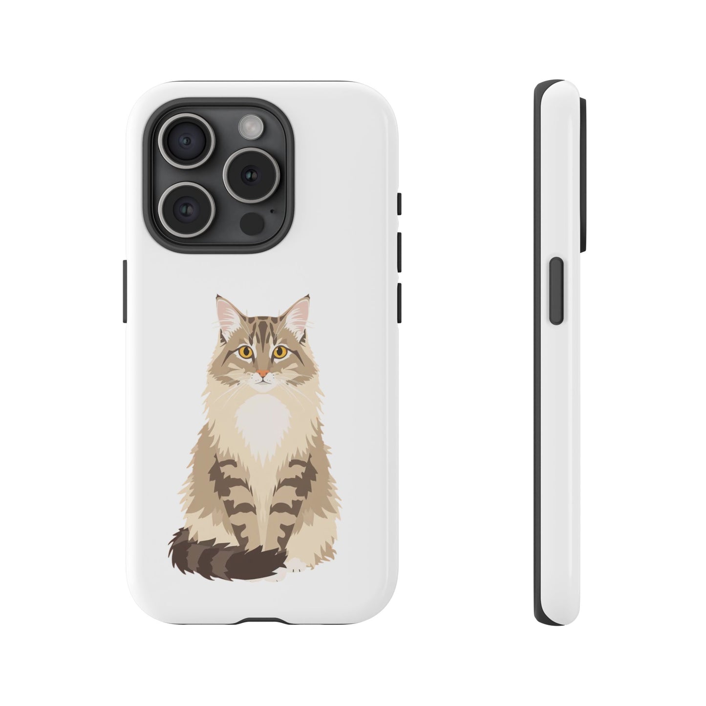 Domestic Longhair Cat - Cat Lovers