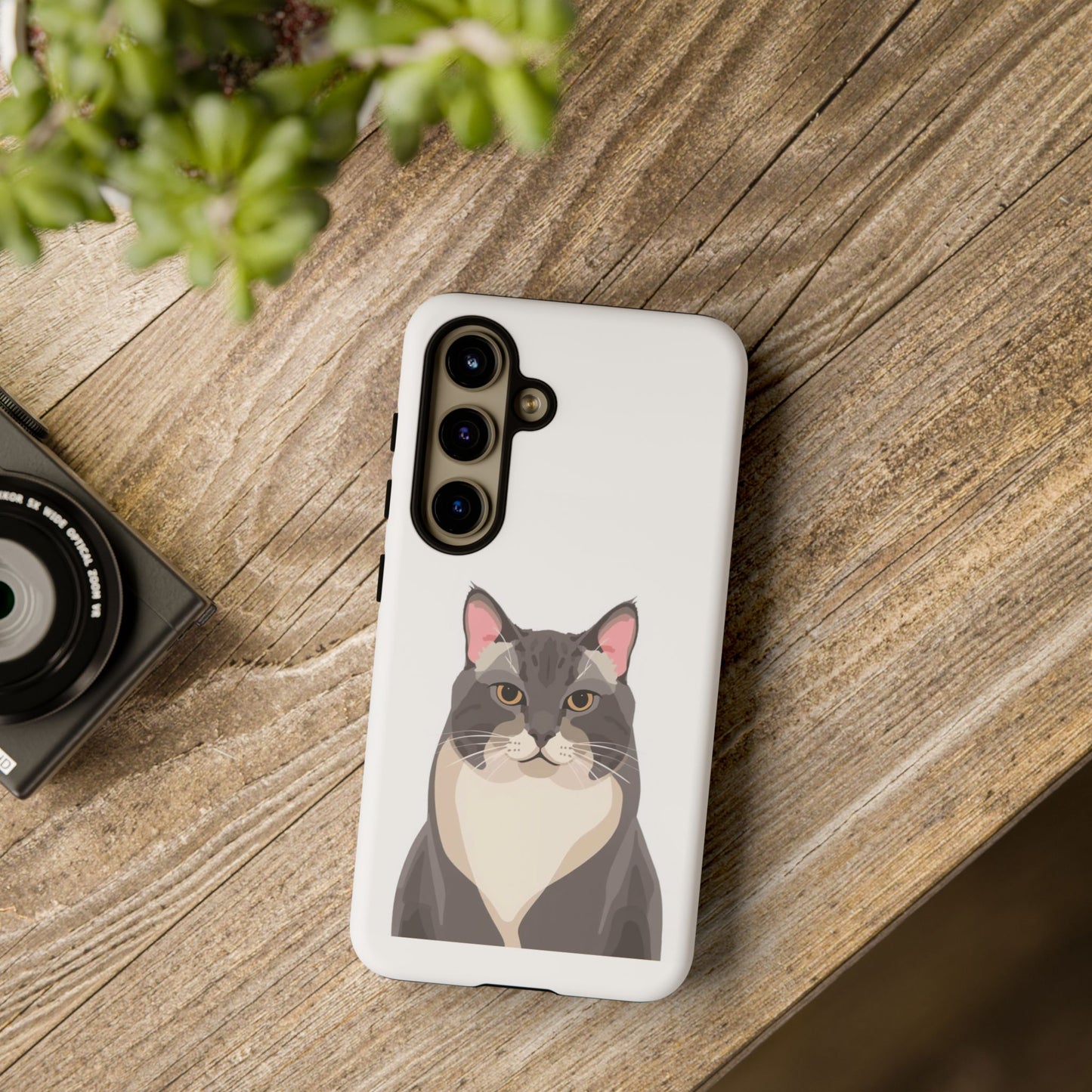 All American Shorthair - Cat Lovers