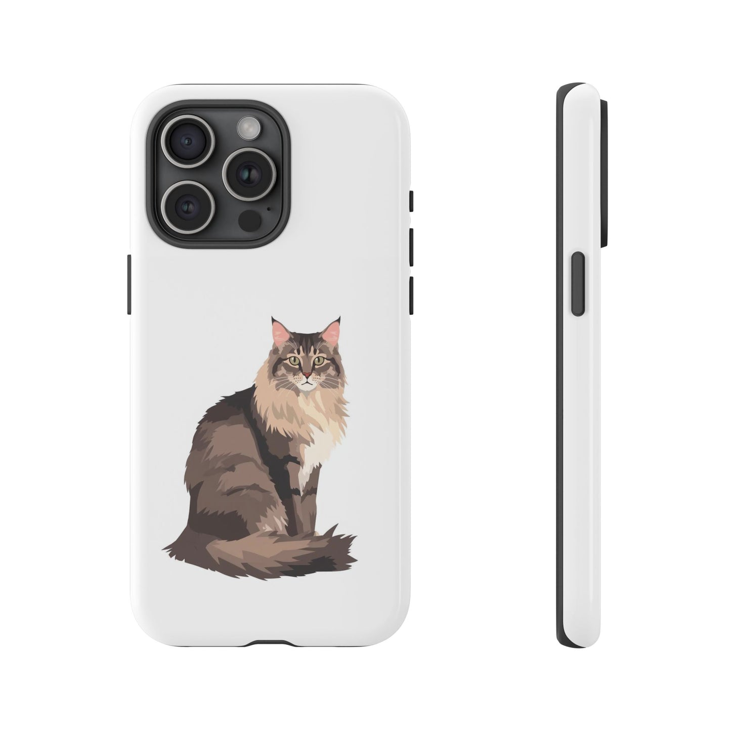 Maine Coon Cat - Cat Lovers