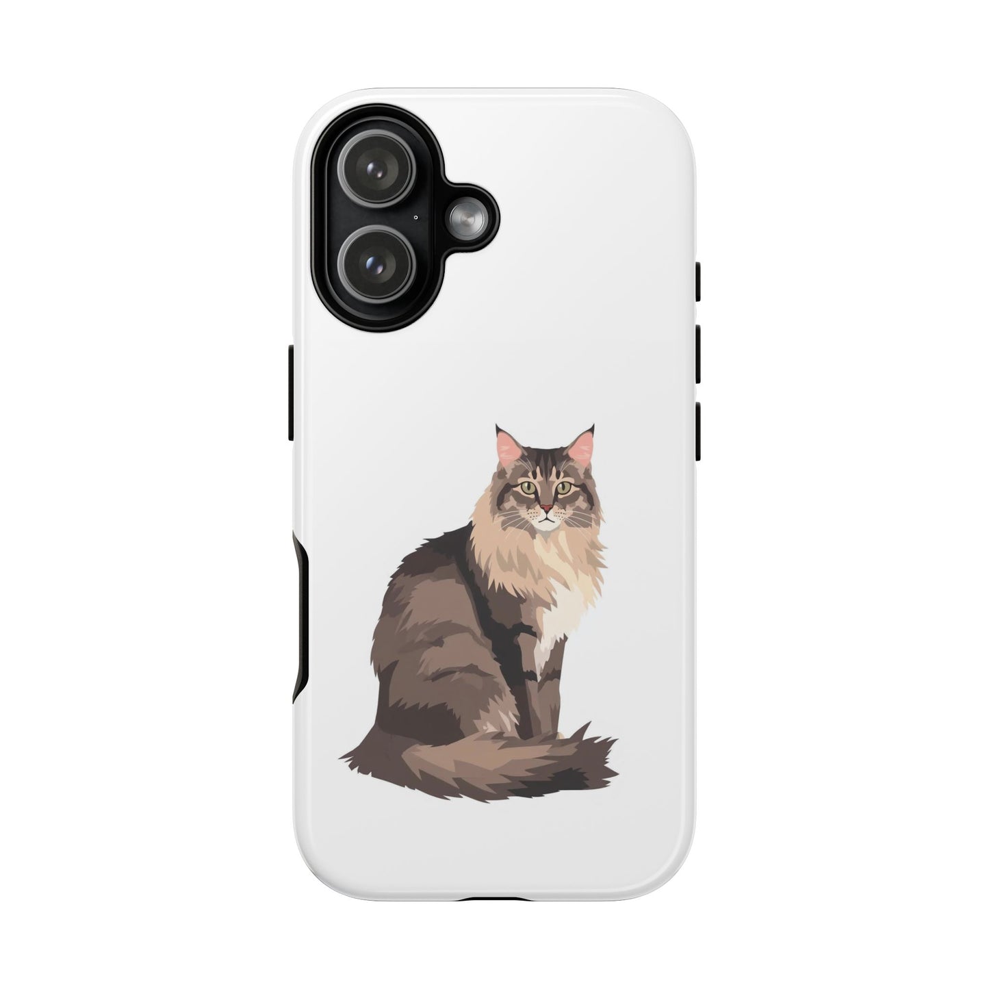Maine Coon Cat - Cat Lovers