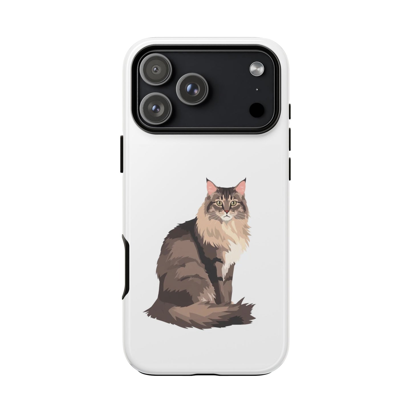 Maine Coon Cat - Cat Lovers