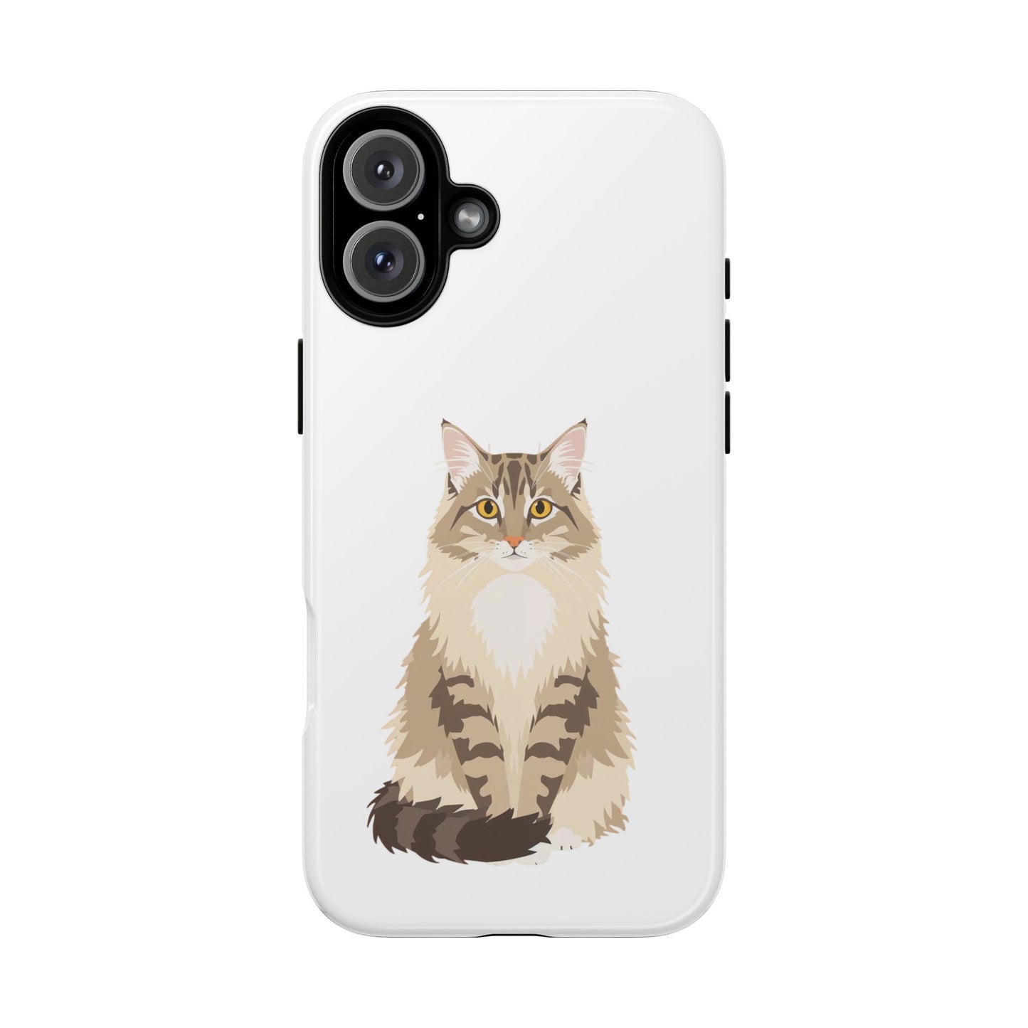 Domestic Longhair Cat - Cat Lovers