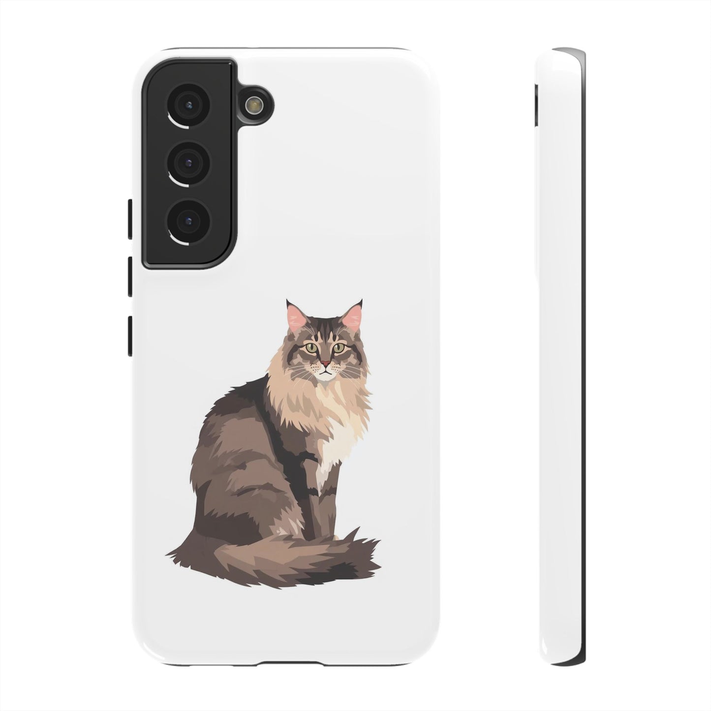 Maine Coon Cat - Cat Lovers