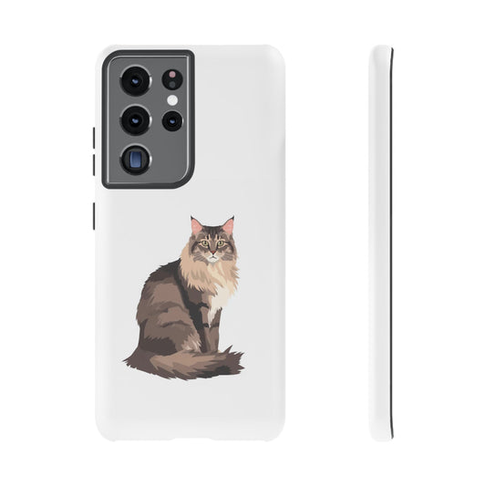 Maine Coon Cat - Cat Lovers