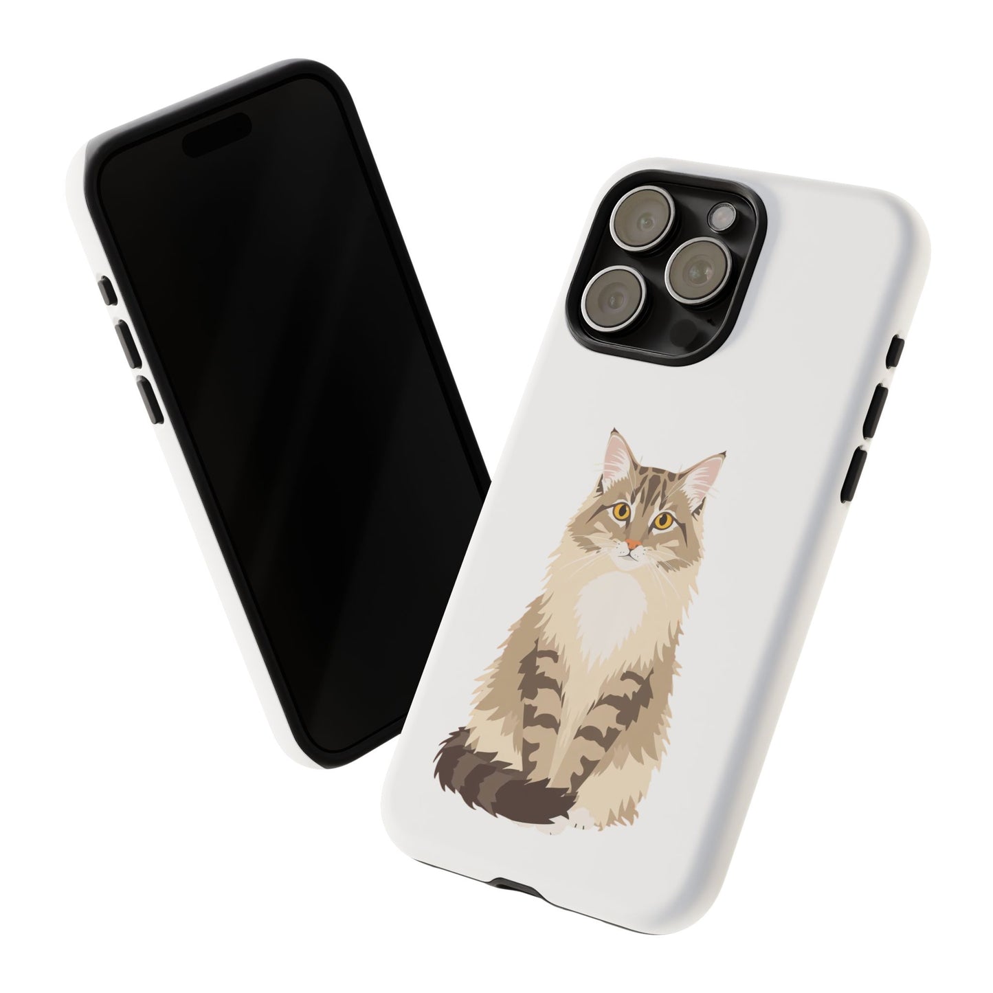 Domestic Longhair Cat - Cat Lovers