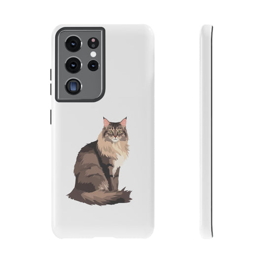 Maine Coon Cat - Cat Lovers