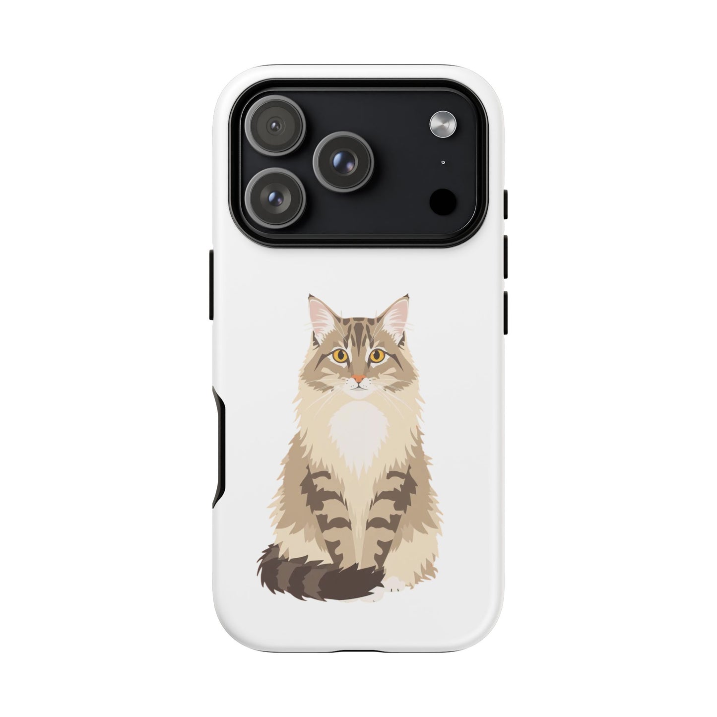 Domestic Longhair Cat - Cat Lovers