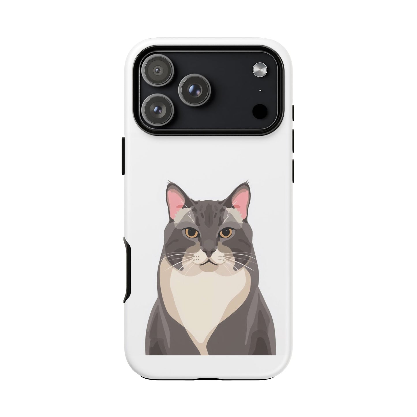 All American Shorthair - Cat Lovers