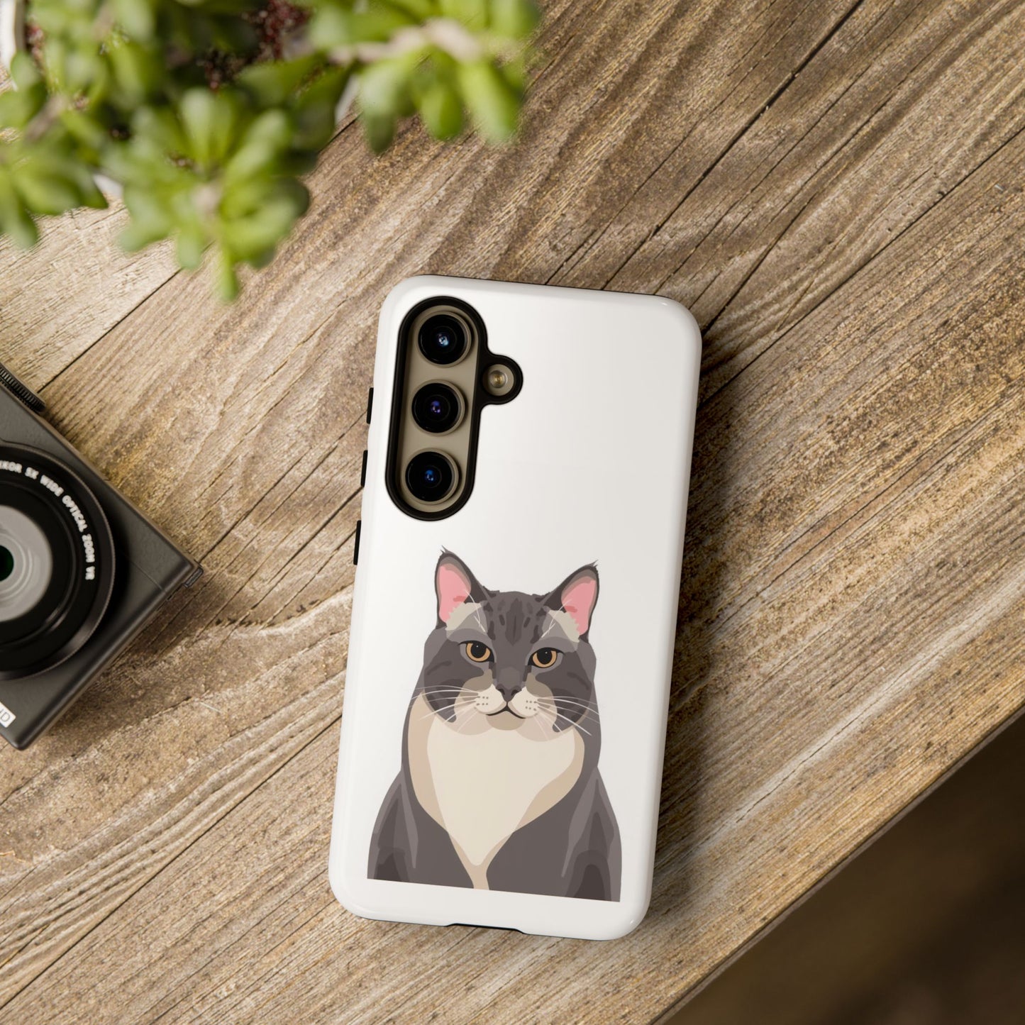 All American Shorthair - Cat Lovers