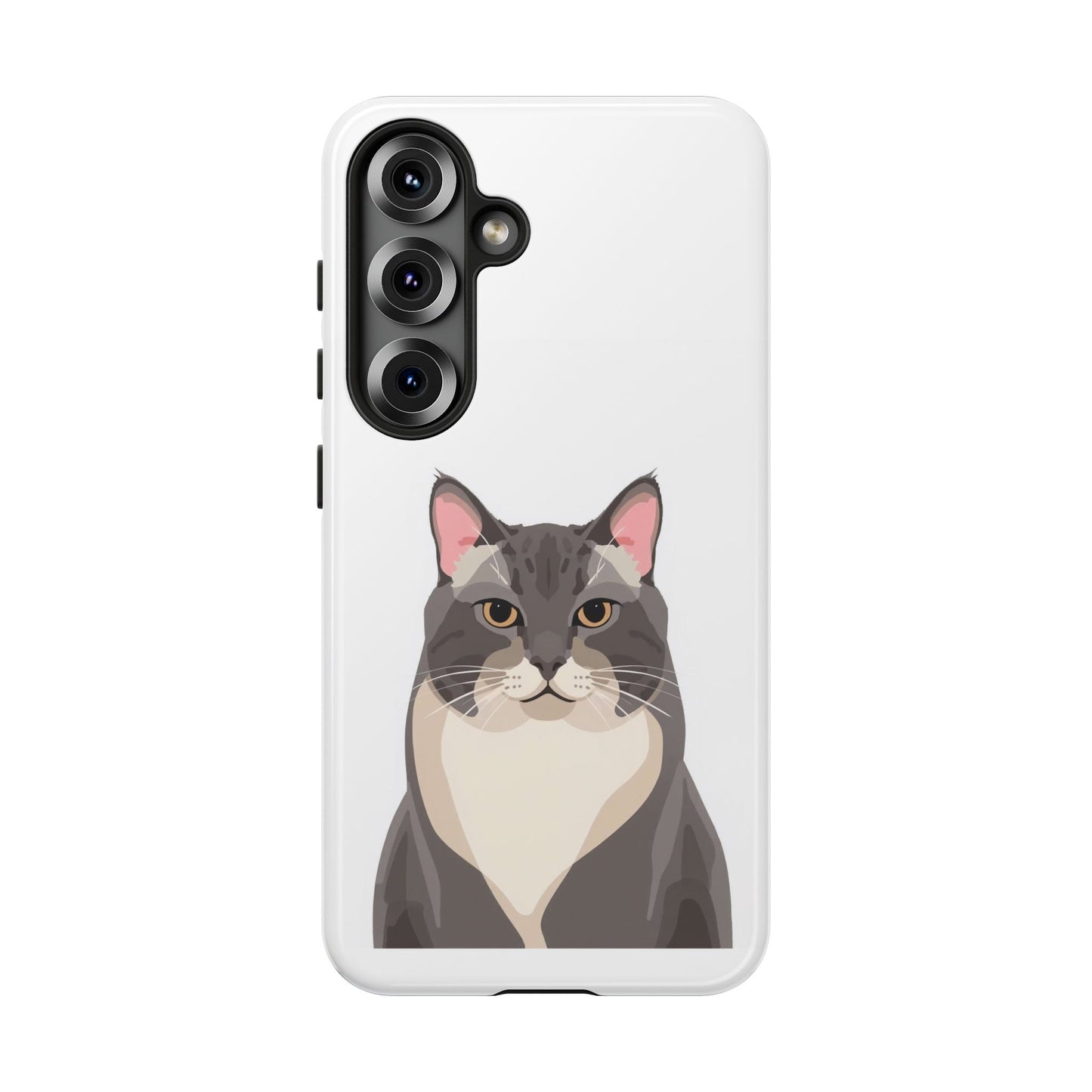 All American Shorthair - Cat Lovers