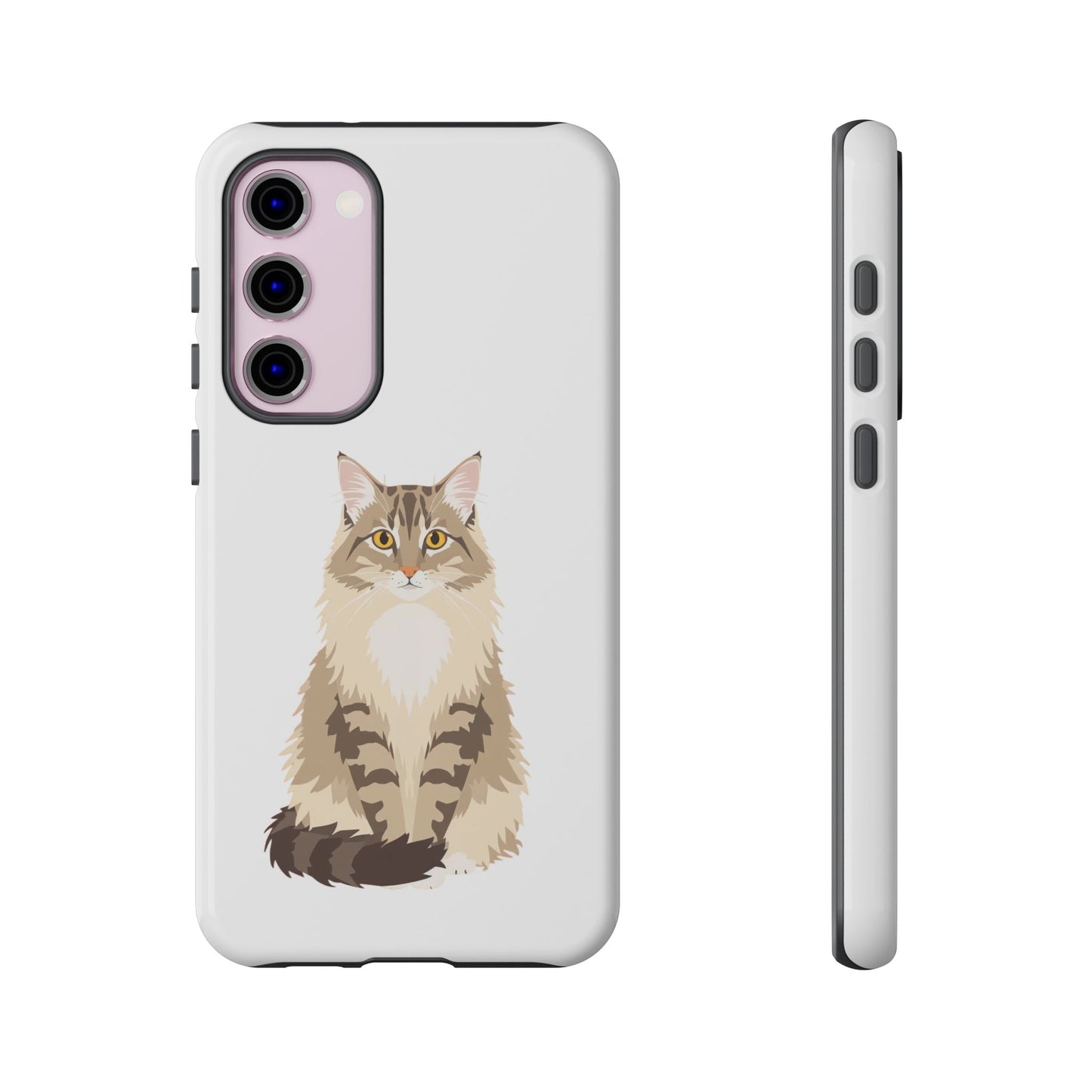 Domestic Longhair Cat - Cat Lovers