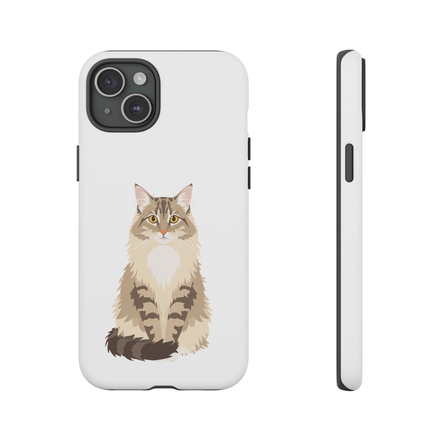 Domestic Longhair Cat - Cat Lovers