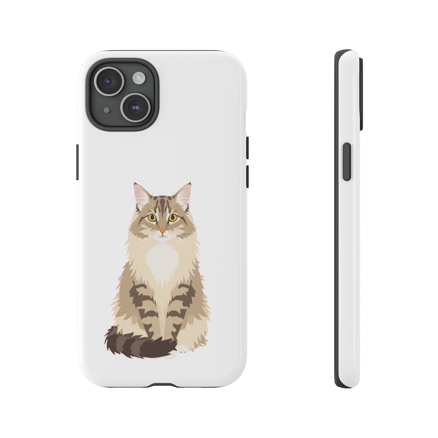 Domestic Longhair Cat - Cat Lovers