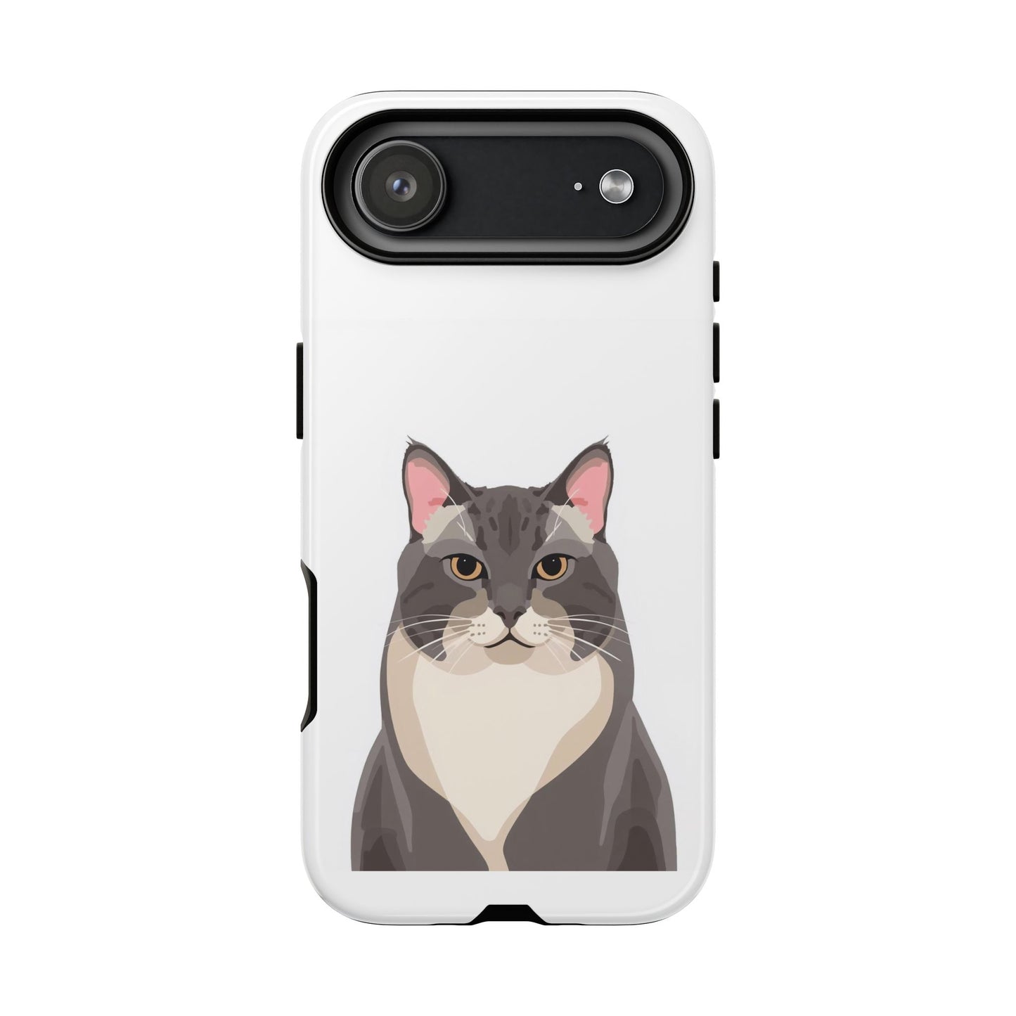 All American Shorthair - Cat Lovers