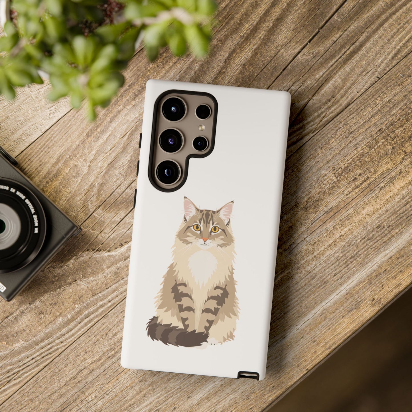 Domestic Longhair Cat - Cat Lovers