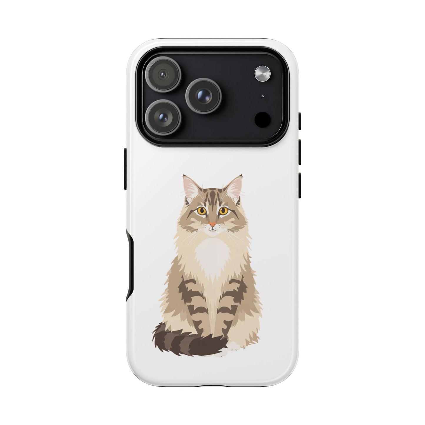 Domestic Longhair Cat - Cat Lovers