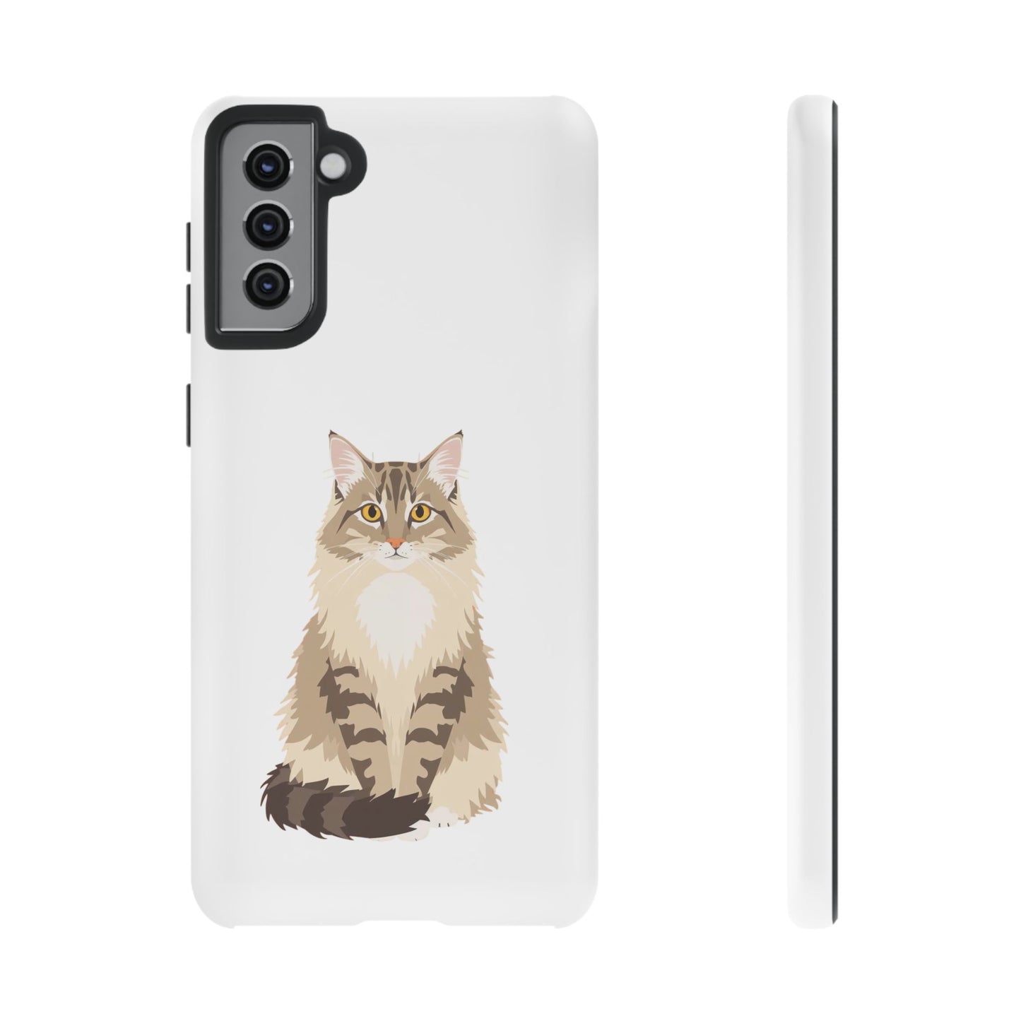 Domestic Longhair Cat - Cat Lovers