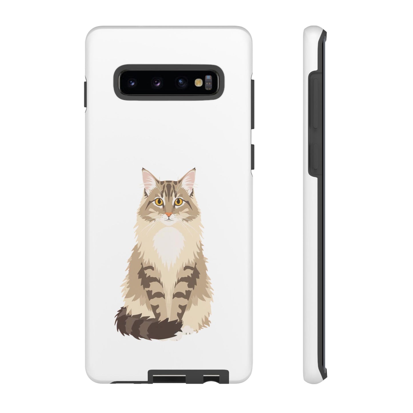 Domestic Longhair Cat - Cat Lovers