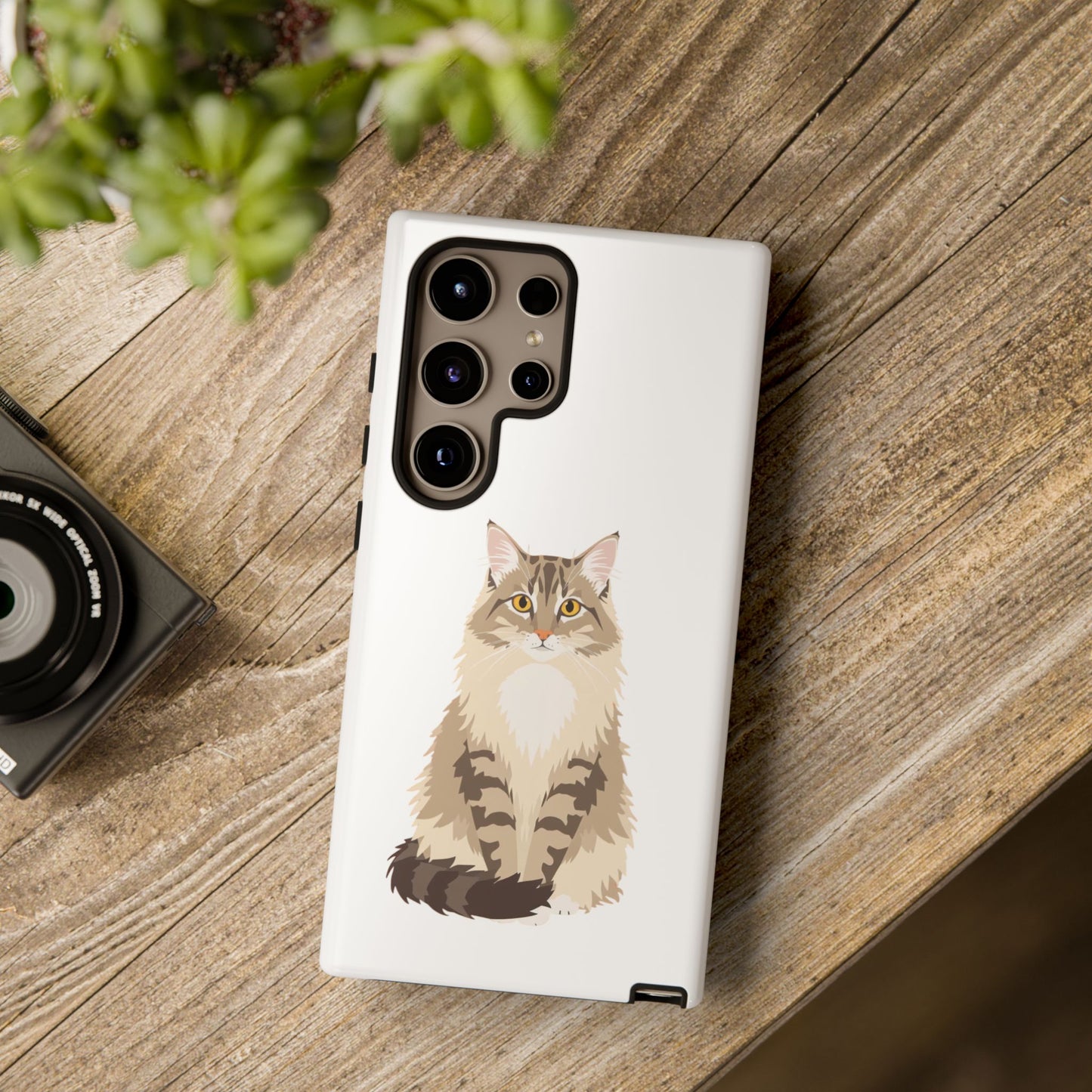 Domestic Longhair Cat - Cat Lovers