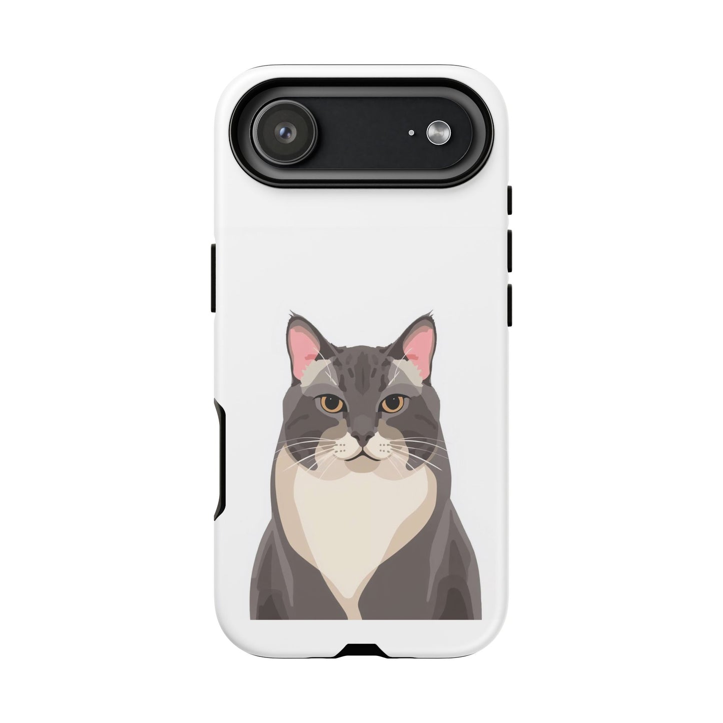 All American Shorthair - Cat Lovers